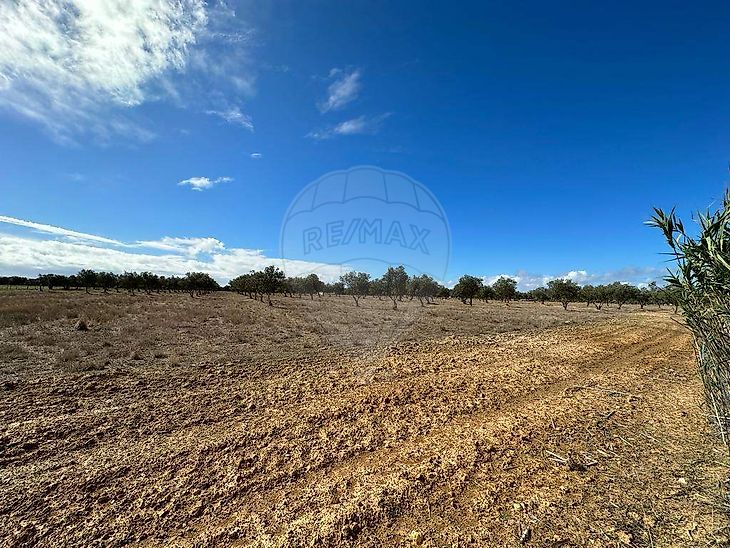 Terreno à venda em Odemira